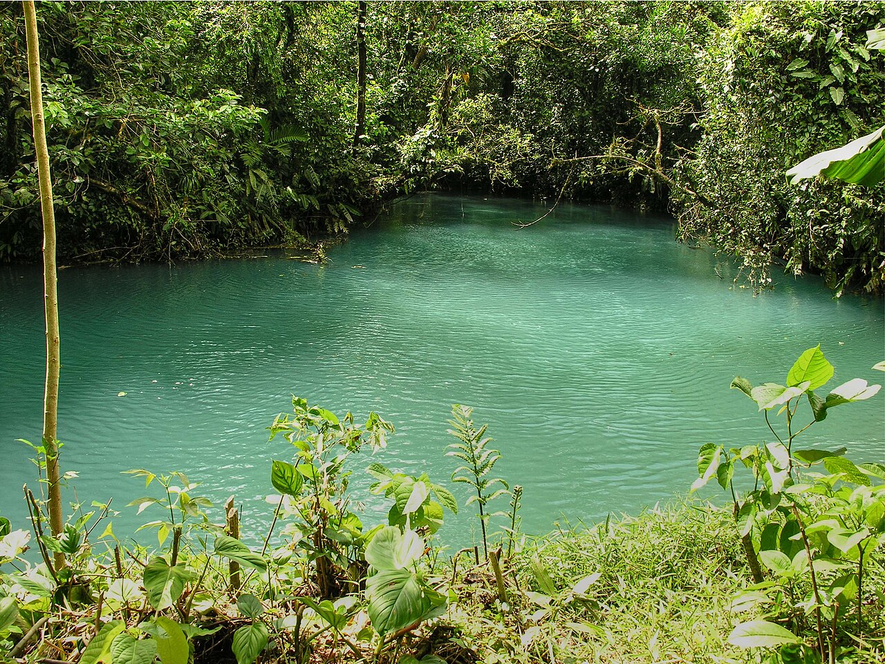 Río Celeste in Guanacaste
